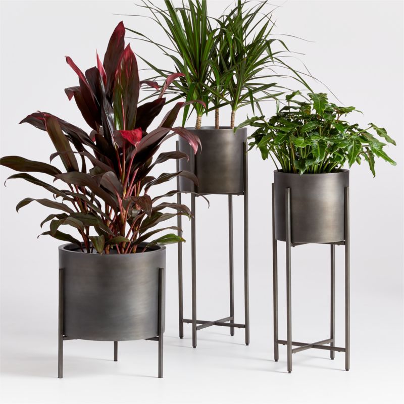 Dundee Bronze Floor Indoor/Outdoor Planters | Crate & Barrel | Crate & Barrel