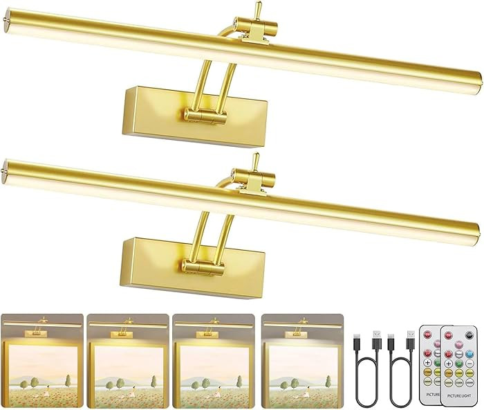 2 Pack Picture Light Battery Operated for Wall, 16" Wireless Art Lighting for Painting, 6 Colors ... | Amazon (US)