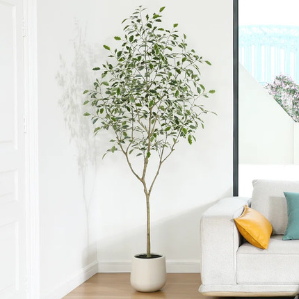 Click for more info about Adcock Faux Ficus Tree with Oval White Planter, Pre Potted Faux Greenry Plant with white side lea...