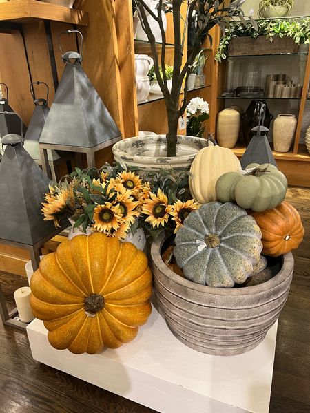 Pottery barn pumpkins! #fall #falldecor #pumpkins 

#LTKSeasonal #LTKhome #LTKunder100