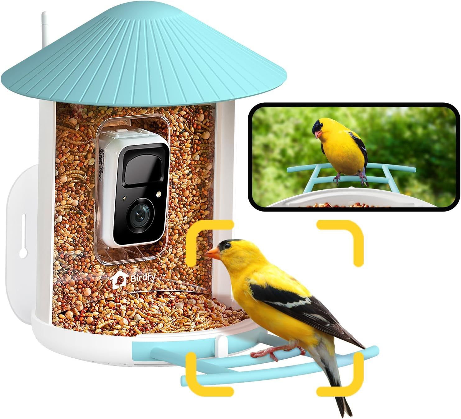 NETVUE by Birdfy Smart Bird Feeder with Camera – AI Identifies Birds Species 2MP Night Vision &... | Amazon (US)