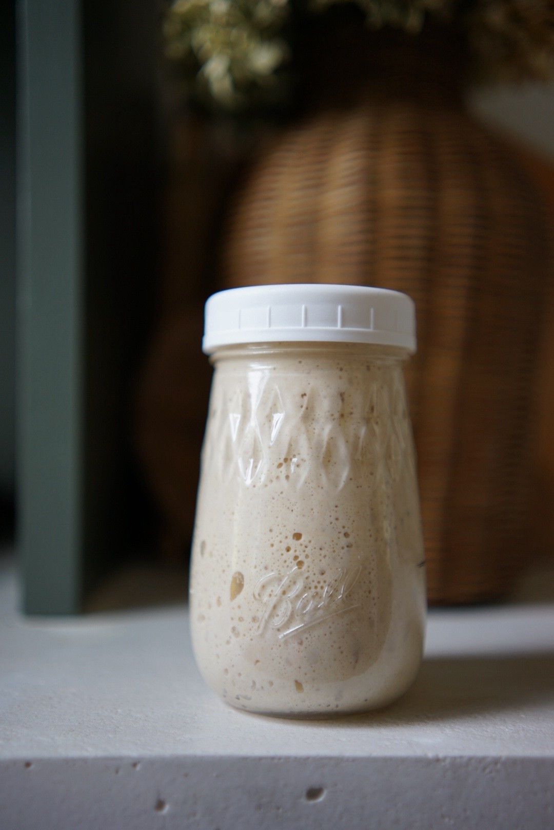 One of my most–asked questions: “What do you keep your sourdough starter in?” 🍞
These mason jars + lids are my go-to! I love them because they’re sturdy, easy to clean, and the perfect size for keeping my starter happy and bubbly. Plus, the wide-mouth jars make feeding and stirring super simple.

Having the right container makes all the difference when you’re maintaining a healthy starter—it keeps things breathable yet covered, and gives you a clear view of all that fermentation magic. ✨

I’ve linked my favorites here so you can grab them too! Whether you’re just starting your sourdough journey or you’re a seasoned baker, these jars + lids are essentials in my kitchen.

#LTKHome