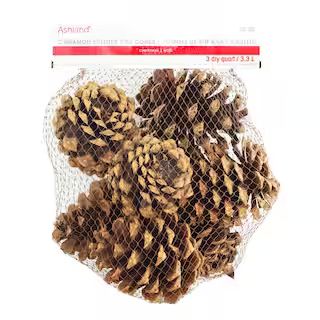 Christmas Cinnamon Scented Pinecones by Ashland® | Michaels Stores