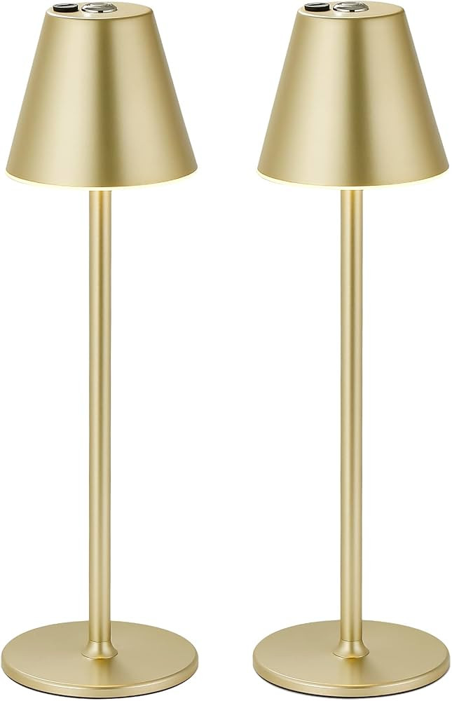 2Pack LED CordlessTable Lamp,4000mAh Rechargeable Battery Desk lamp,3 Level Brightness Night Ligh... | Amazon (US)