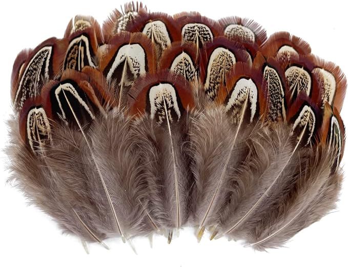 100pcs Natural Pheasant Feathers 2-3 Inches Fluffy Spotted Plumage Feather for Dream Catcher Craf... | Amazon (US)