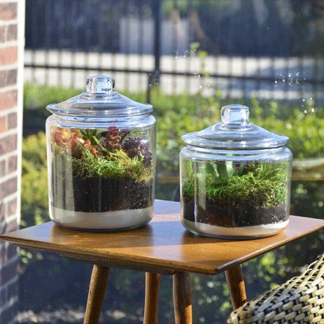 Anchor Hocking Glass Storage Heritage Hill Jar, 1 Gal, Set of 2 | Walmart (US)