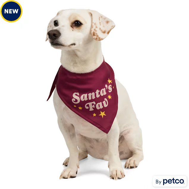 Merry Makings Santa's Fav Pet Bandana, Small/Medium | Petco