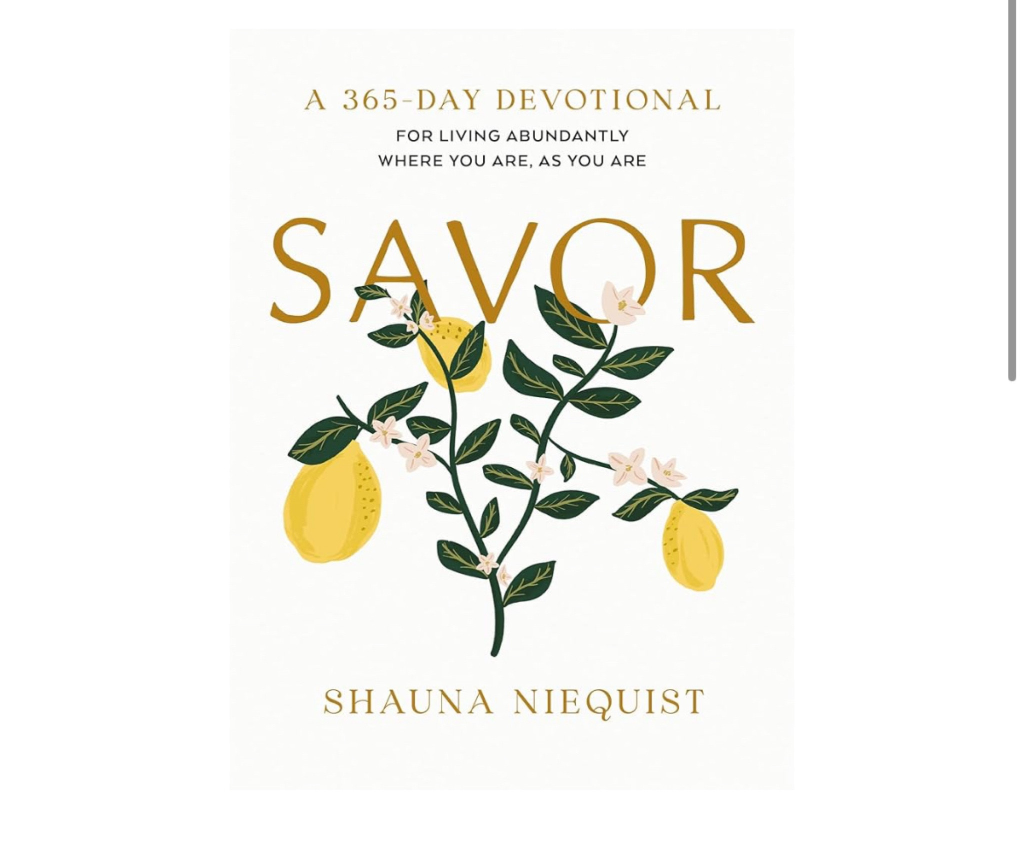 New daily devotional by my favorite 

#LTKHome #LTKSeasonal #LTKFamily