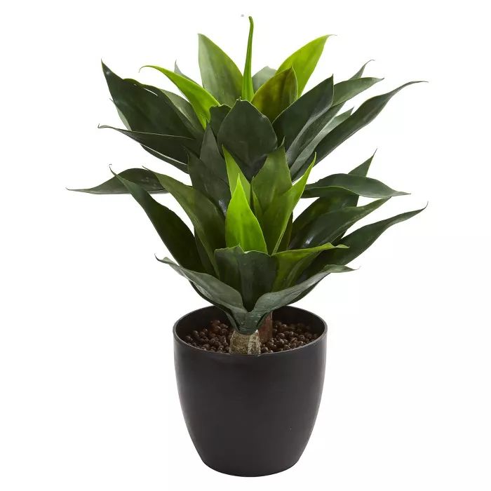 21" x 16" Artificial Agave Plant in Decorative Pot Green/Black - Nearly Natural | Target