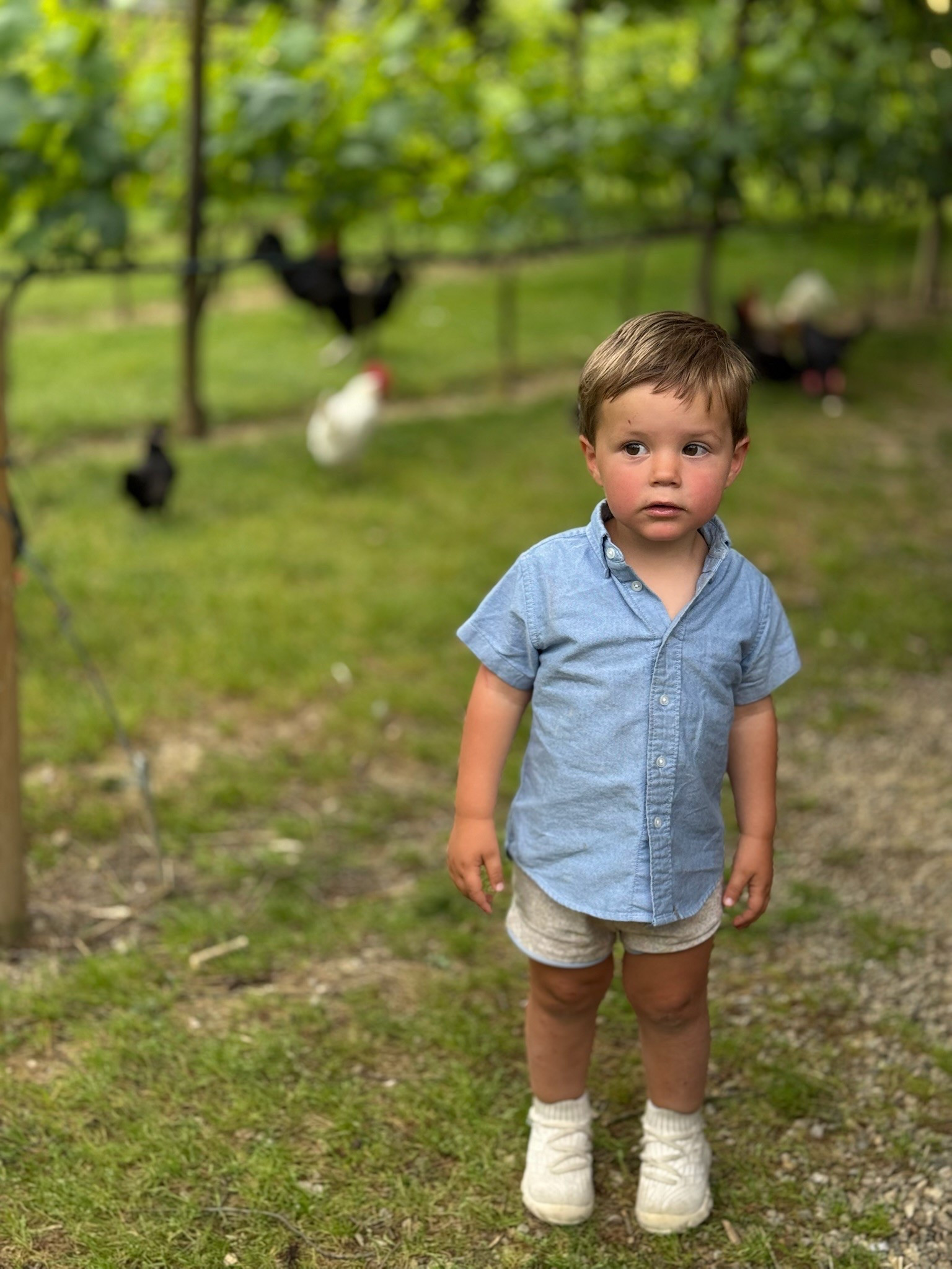 Hahaha keeping an eye out for more chickens 🐓 

#LTKKids #LTKTravel