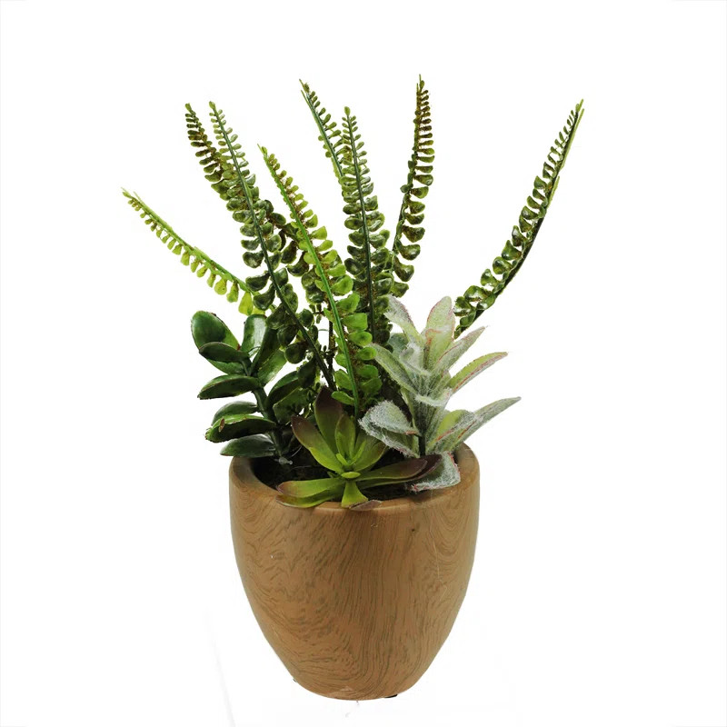 Northlight Seasonal 12" Potted Brown and Green Artificial Mixed Succulents and Fern Arrangement |... | Wayfair North America