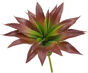 Agusbagli Succulents Plants Artificial, Large Fake Succulents Flowers Unpotted Real Touch Aloe Gr... | Amazon (US)