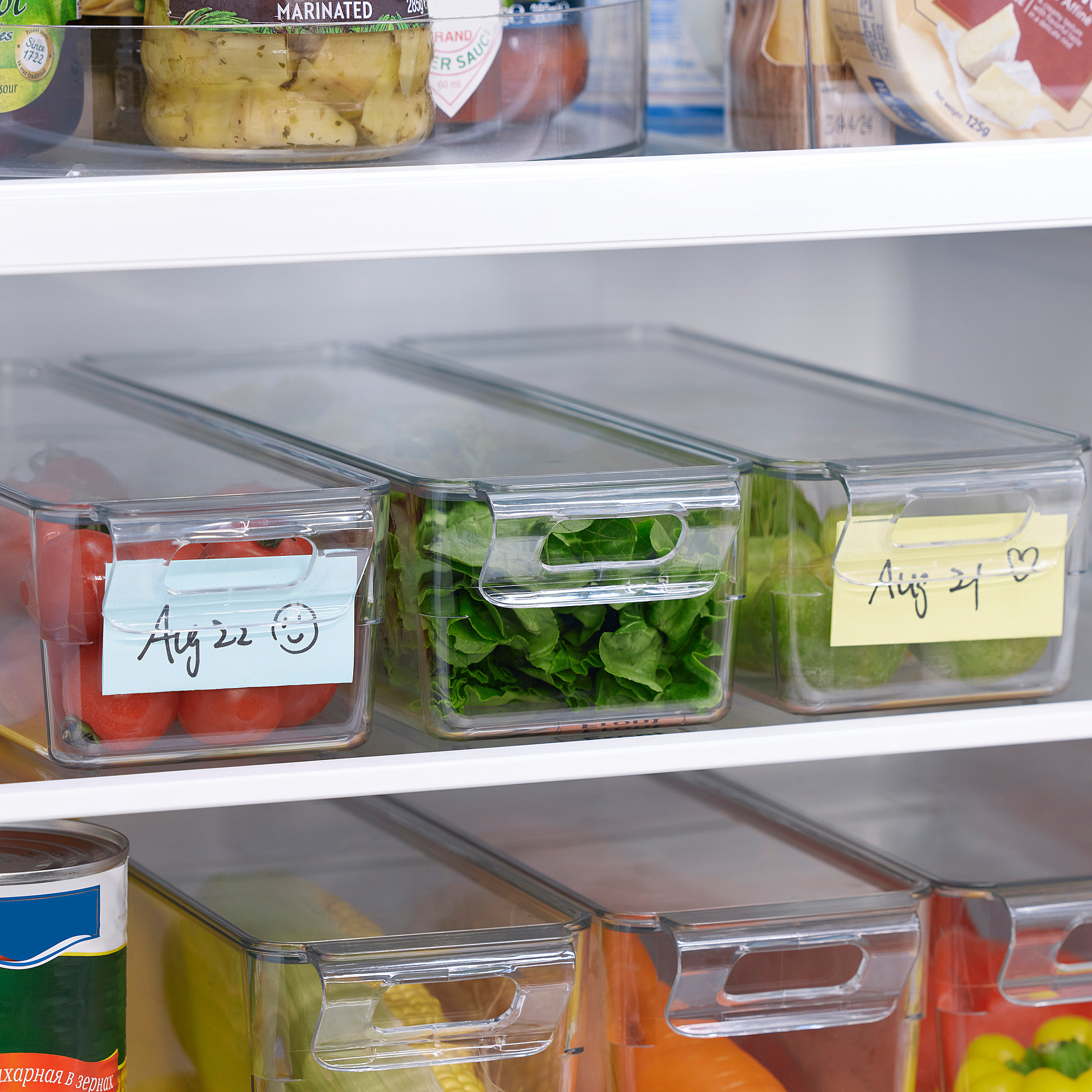 KLIPPKAKTUS Aufbewahrungsbox für Kühlschrank, transparent, 32x10x8 cm - IKEA Deutschland | IKEA (DE)