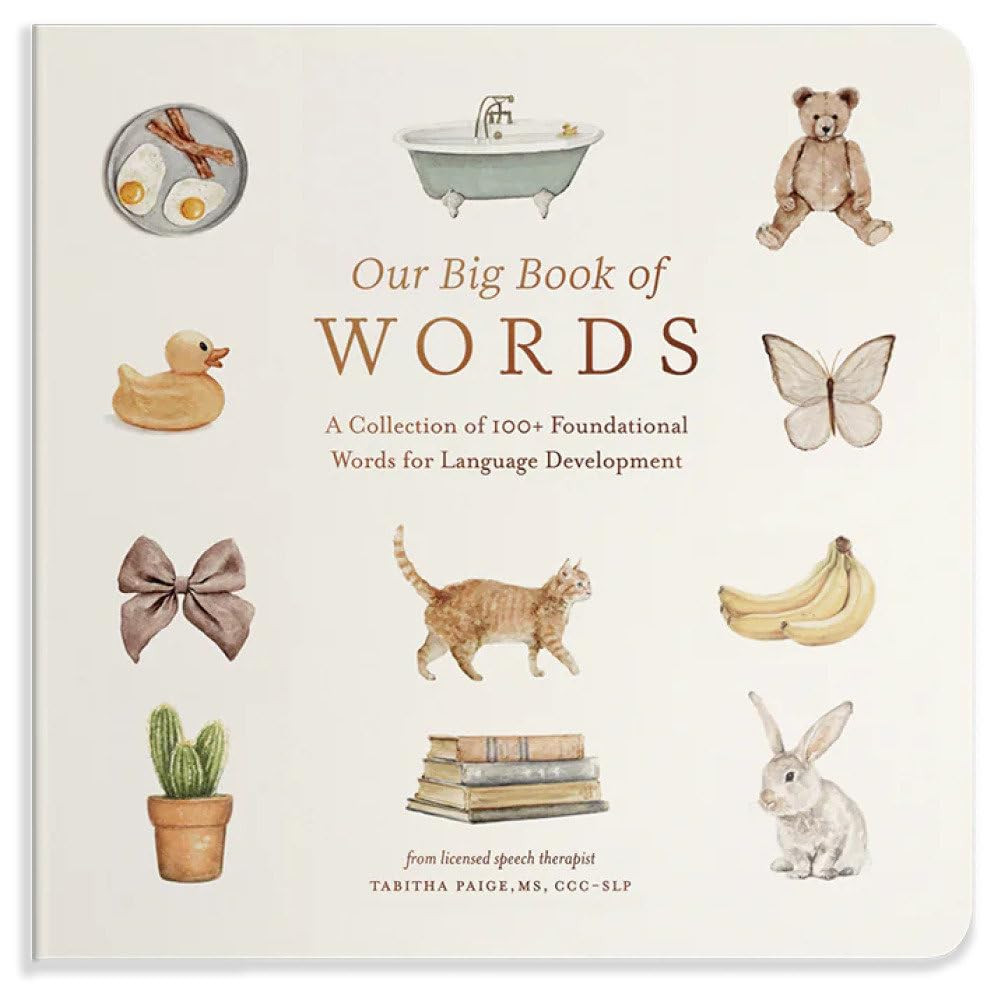 My First Book of Words: A Foundational Language Vocabulary Book of Colors, Numbers, Animals, ABCs, and More (Our Little Adventures Series) | Amazon (US)