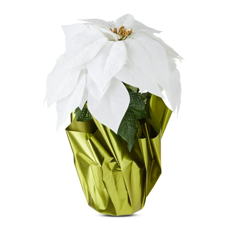 15-Inch White Velvet Artificial Poinsettia in Green Foil Pot, by Holiday Time | Walmart (US)