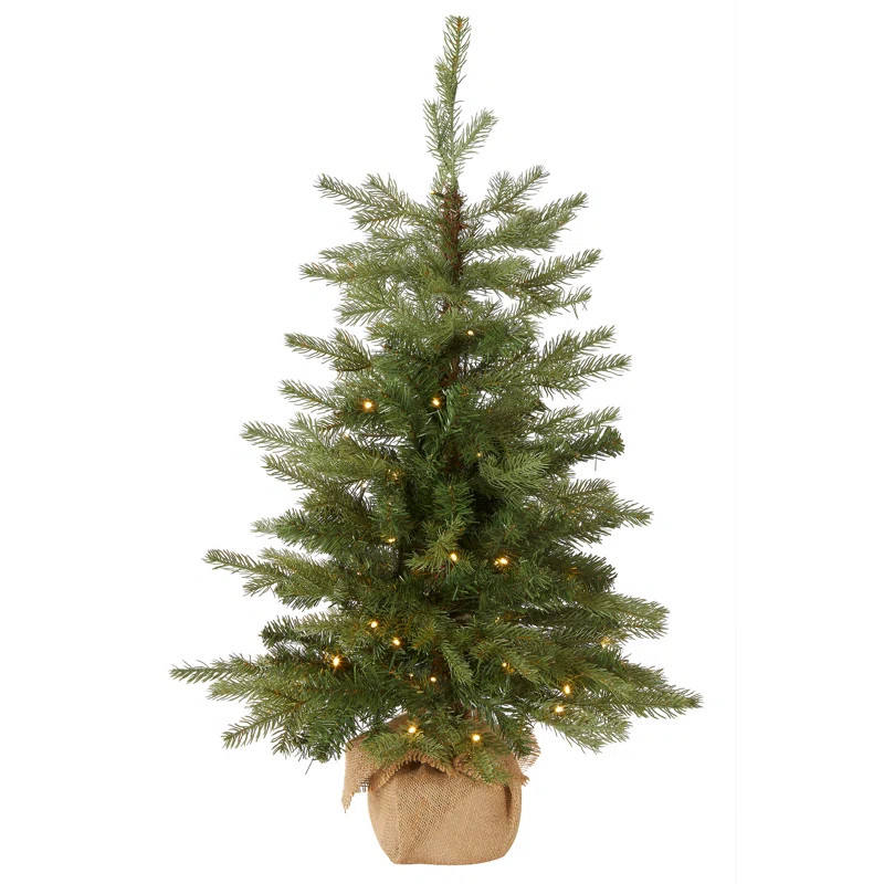 The Holiday Aisle® 3ft. Nordic Spruce Tree with LED Lights | Birch Lane