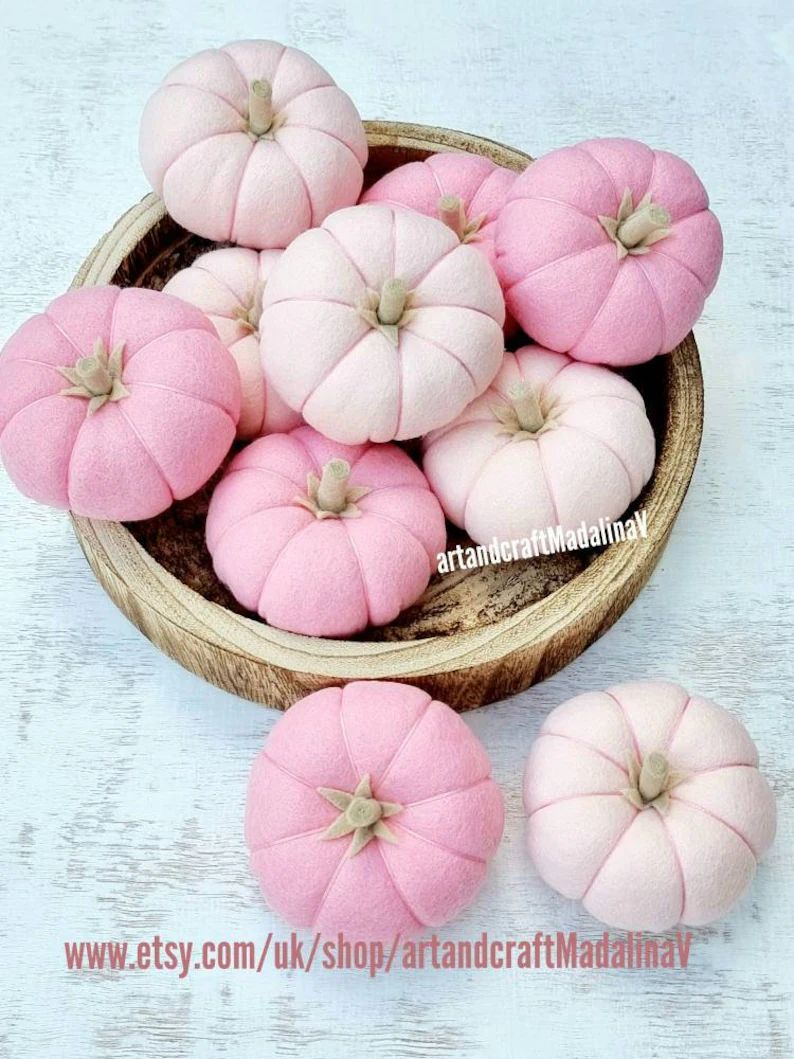 Pumpkin felt decoration or Set of 2, Pink Blush Pumpkin, Autumn harvest, Pumpkin ornament,Fall Ho... | Etsy (US)