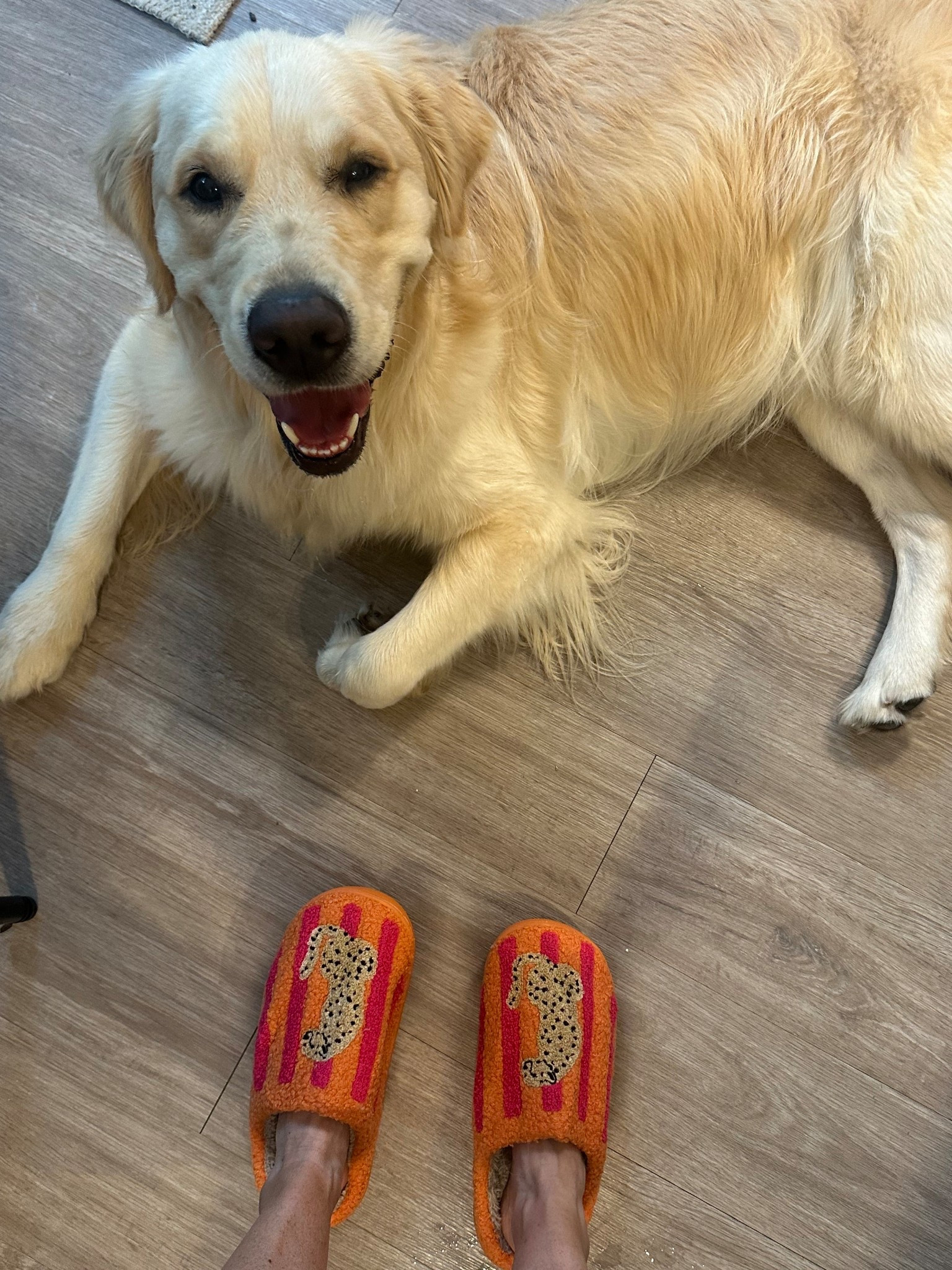 Comfy slipper ⭐️Amazonn
