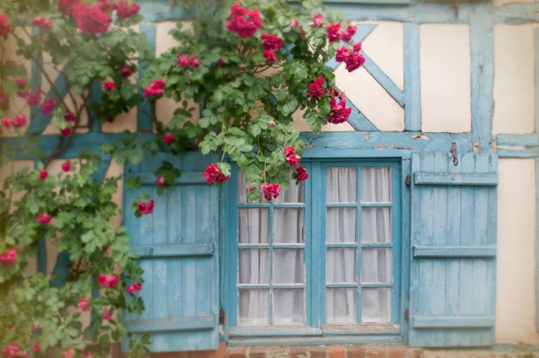 French Country Photo - Blue Shutters and Roses on Cottage Window, Picardy, France, Home Decor | Etsy (US)