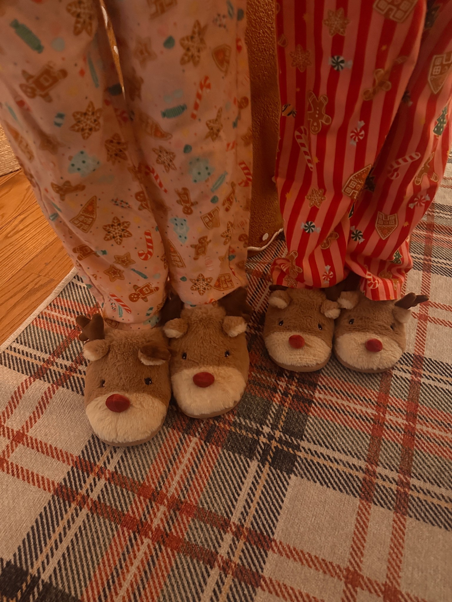  Cutest slippers 

#LTKHoliday