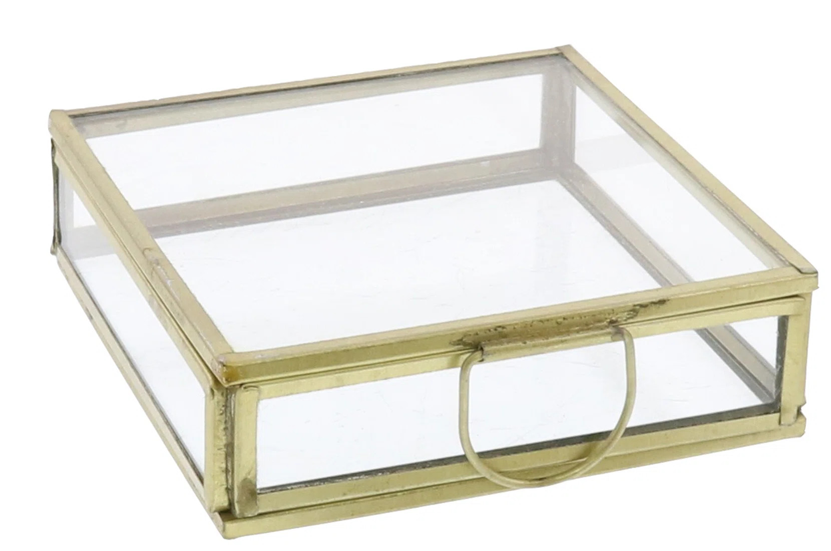 World Menagerie Square Glass Display Box | Wayfair | Wayfair North America