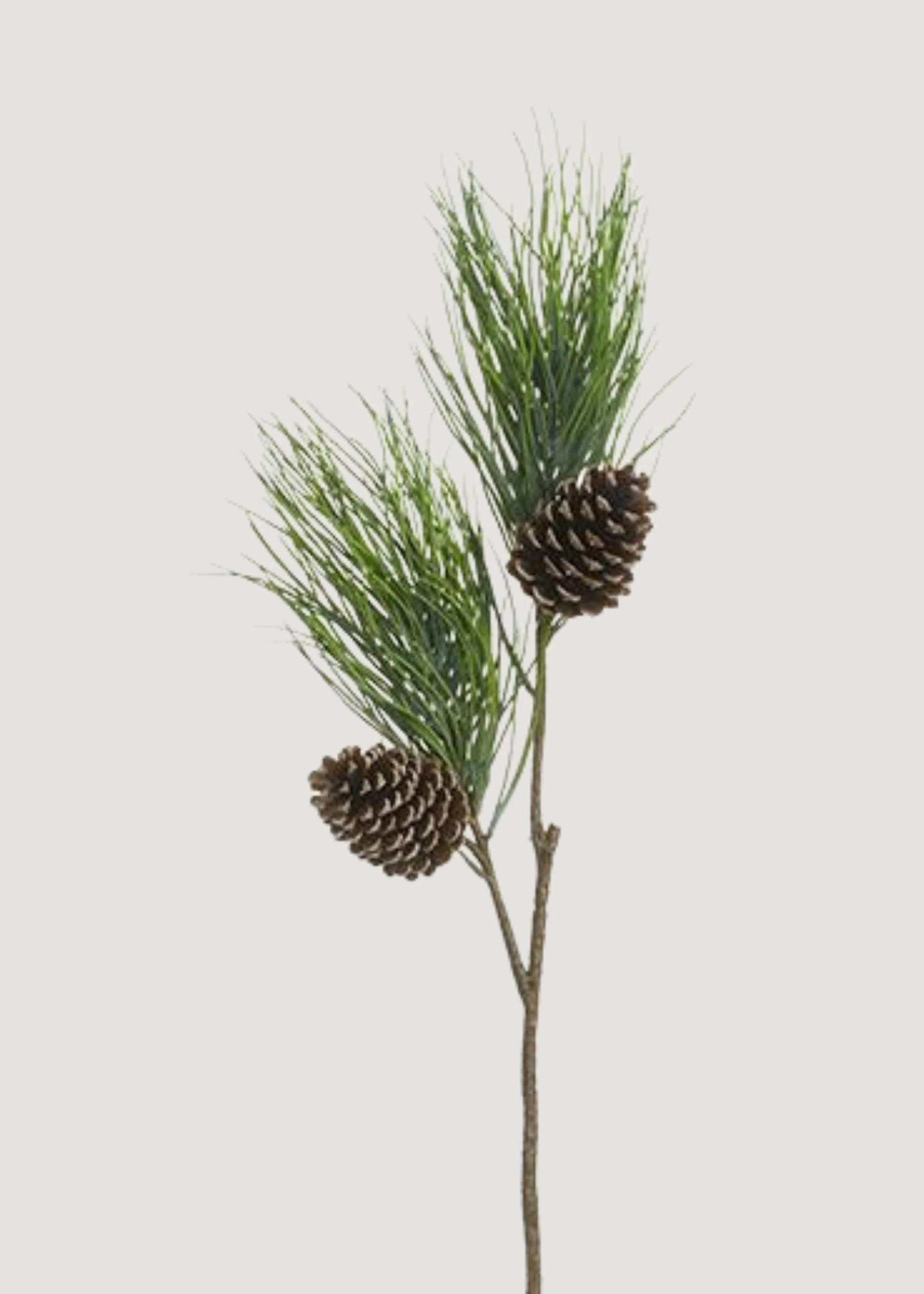 Tall Pine Branch with Cones | Faux Winter Greenery | Afloral | Afloral