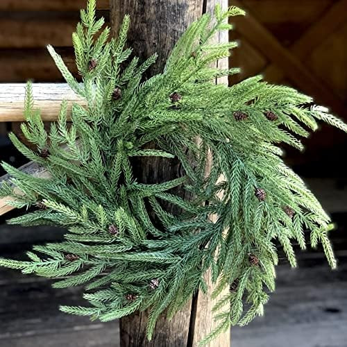 Christmas Wreaths for Front Door | Real Touch Norfolk Pine Wreath | Amazon (US)