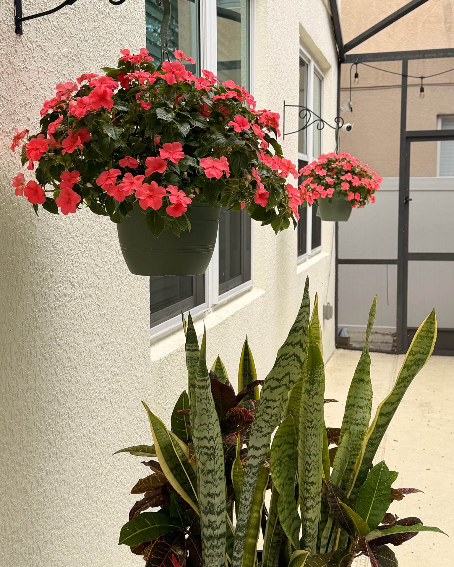 Hooks for plants @lowes

#LTKHome