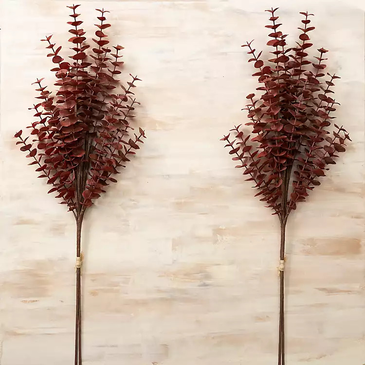 Burgundy Eucalyptus Cinerea Stems, Set of 2 | Kirkland's Home