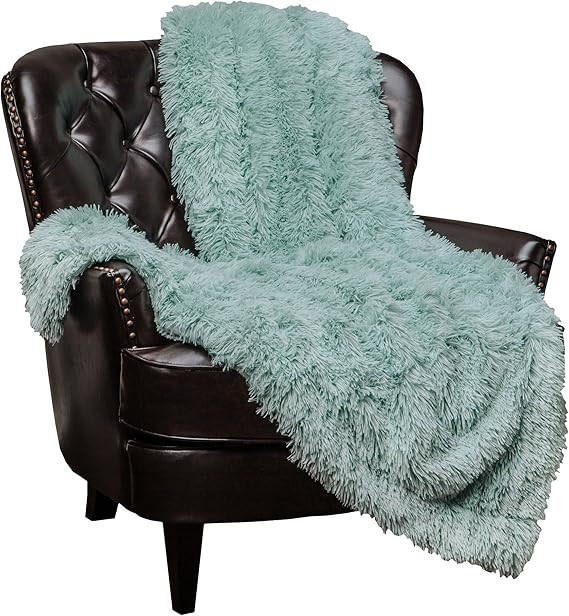 Chanasya Super Soft Fuzzy Shaggy Faux Fur Throw Blanket - Chic Design Snuggly Plush Lightweight w... | Amazon (US)