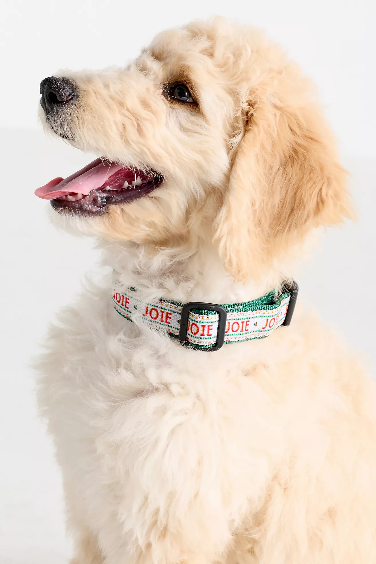 Bistro Tile Holiday Dog Collar | Anthropologie (US)