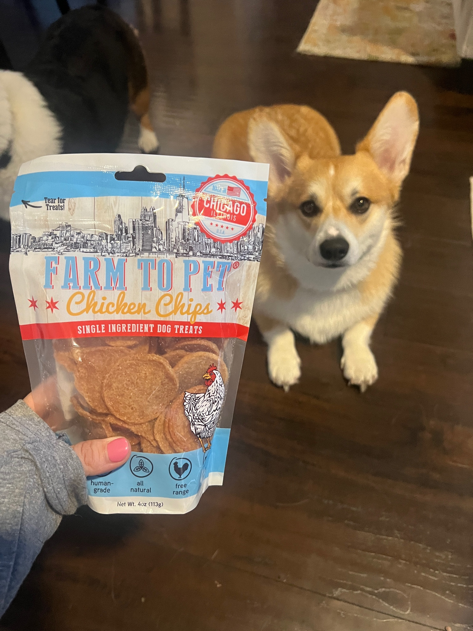 Has anyone else tried their new beef flavor? We can’t wait to check them out in our next order. 