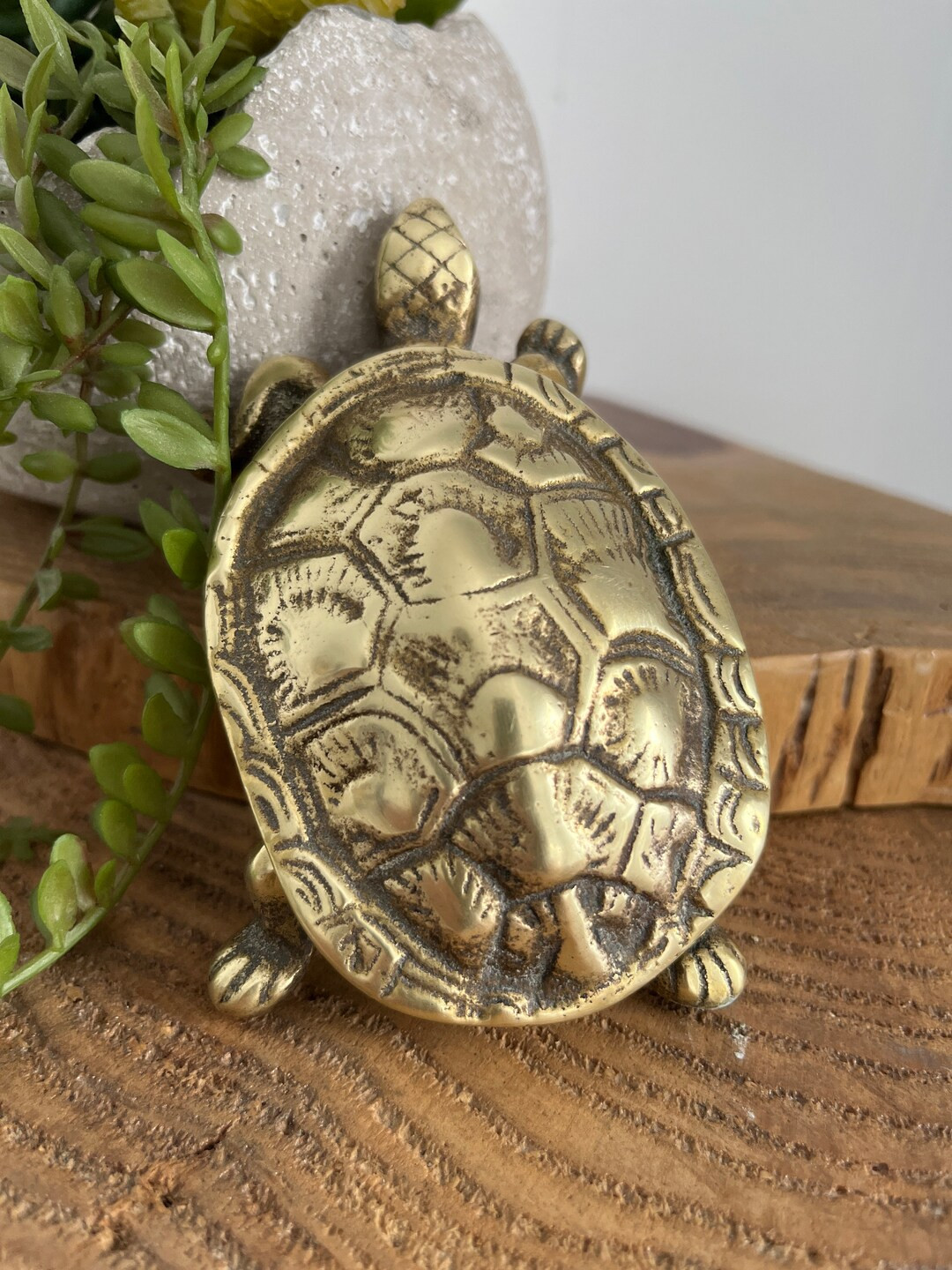 Brass Turtle Box Brass Turtle Ring Holder - Etsy | Etsy (US)
