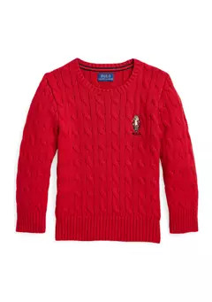 Ralph Lauren Childrenswear Boys 2-7 Polo Bear Cable Knit Cotton Sweater | Belk