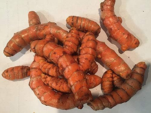 USDA Organic Turmeric Whole Raw Root (1 Pound) | Amazon (US)