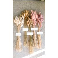 Bunny Tails Pampas Grass 50 Pcs By Muse - Natural Dried Lagurus Bohemian Plant Decor Boho Wedding Br | Etsy (US)