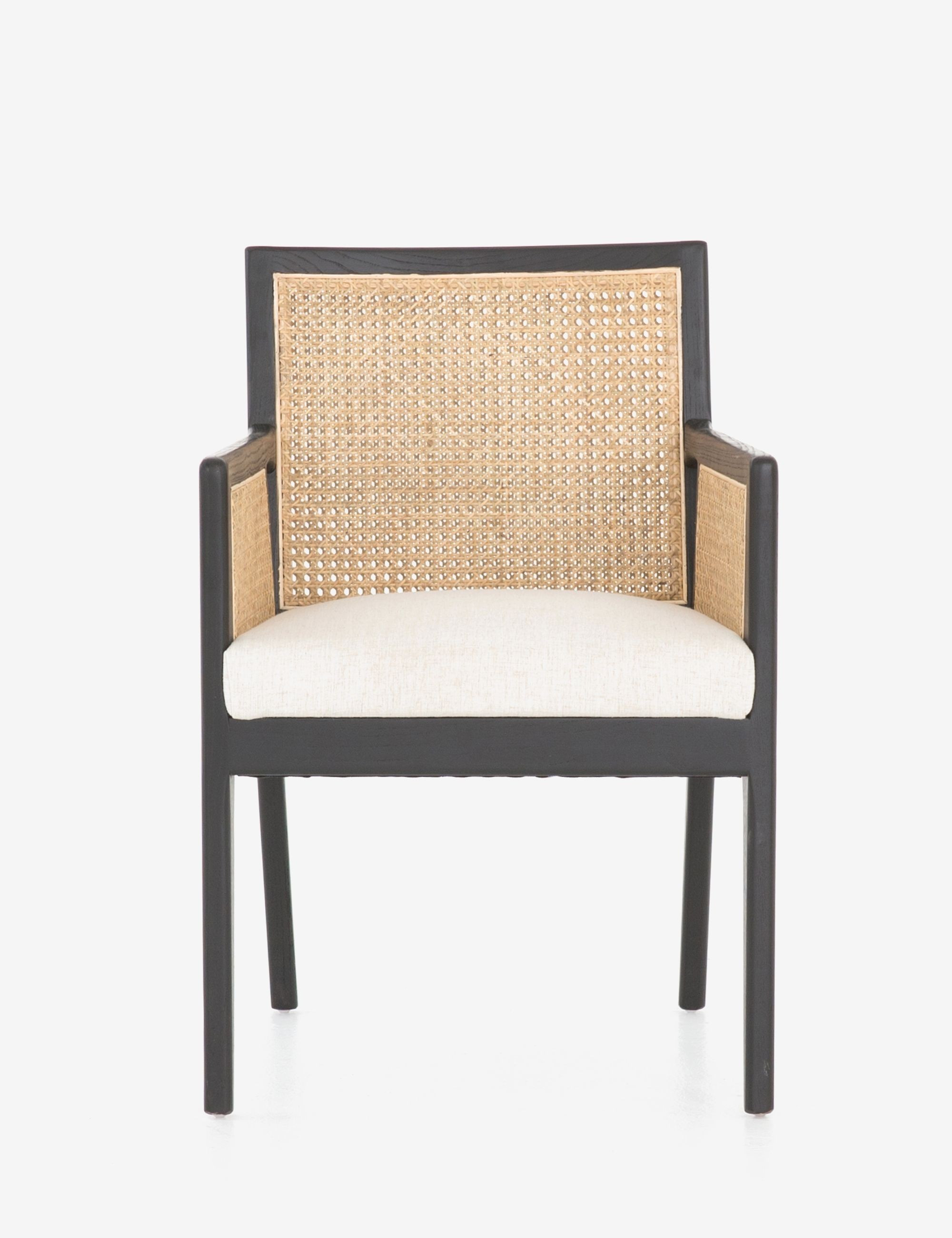 Jeni Dining Arm Chair, Black | Lulu and Georgia 