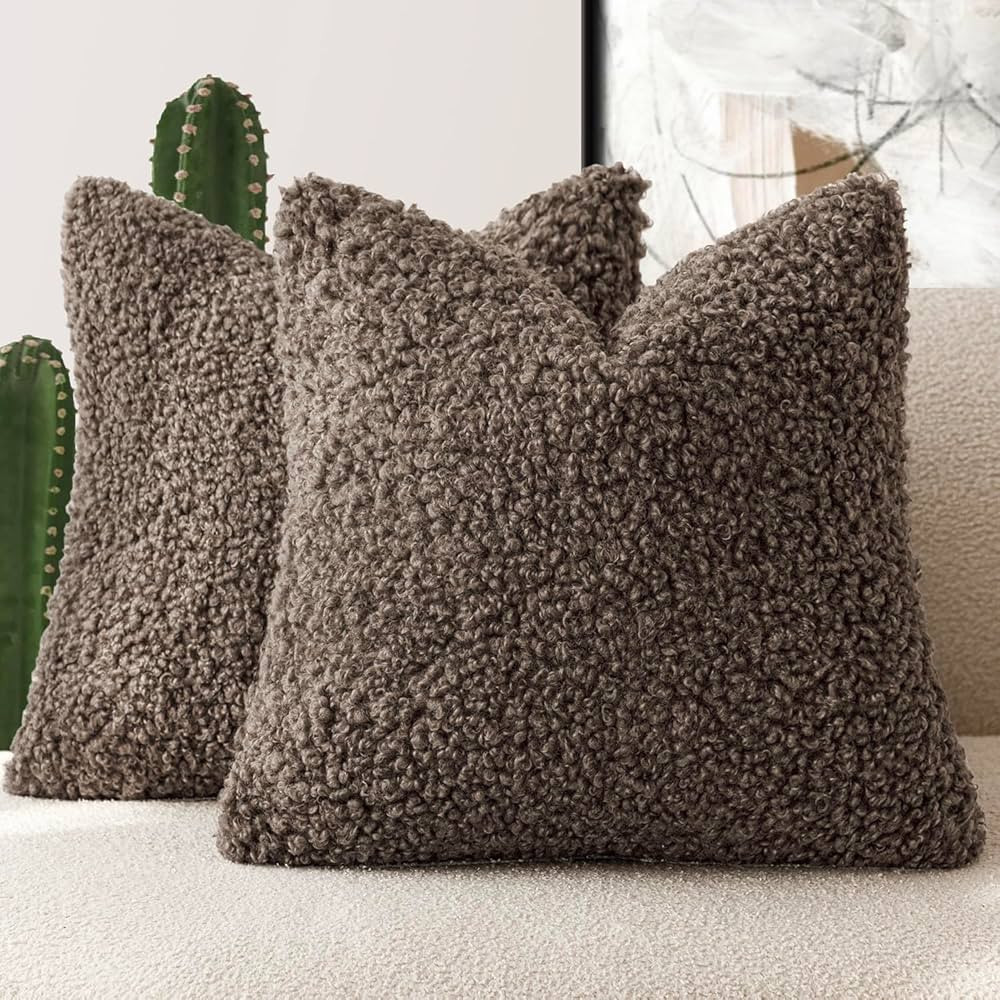 Foindtower 2 Pieces 20x20 Inch Chocolate, Faux Fur Throw Pillow Cover Accent Sherpa Pillow Fuzzy ... | Amazon (US)
