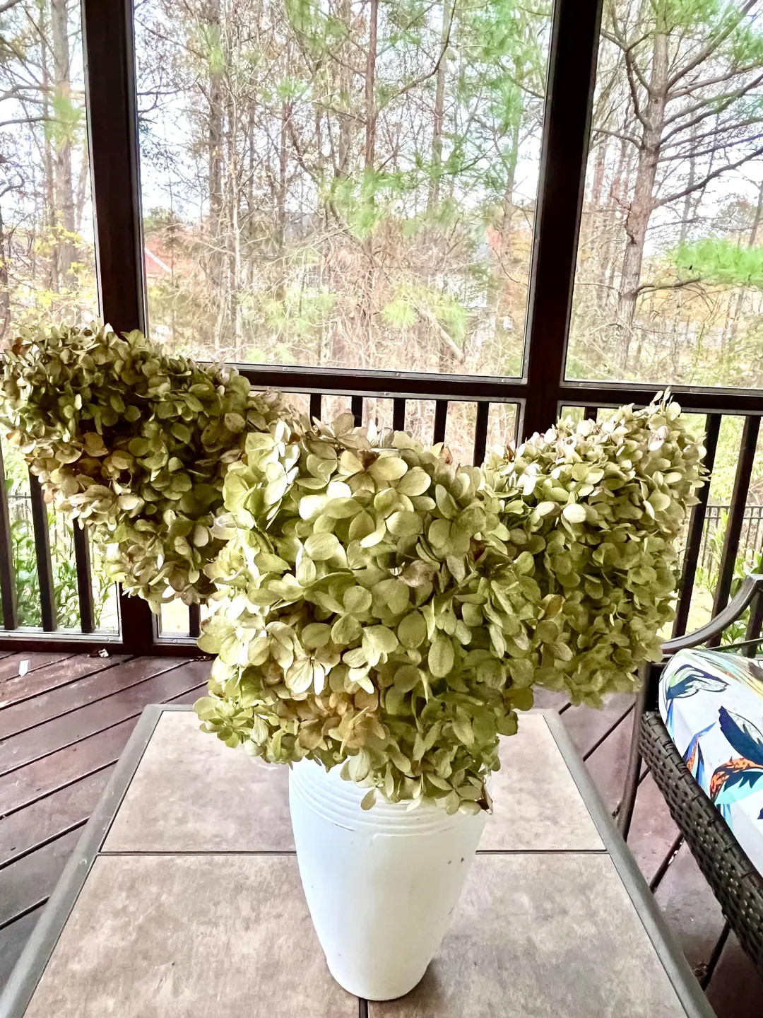 Five Dried Limelight hydrangeas | Etsy (US)