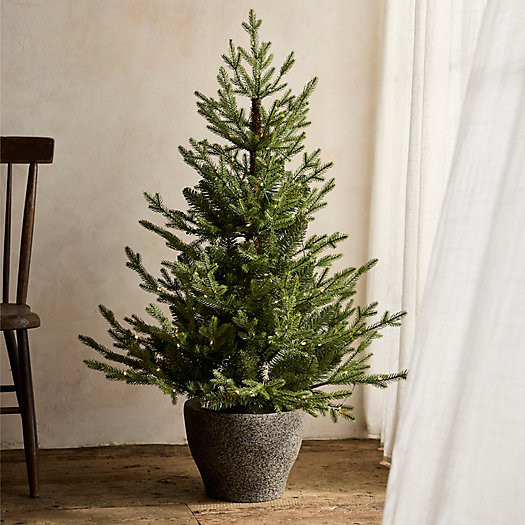 Pre-Lit Faux Potted Norway Spruce | Terrain