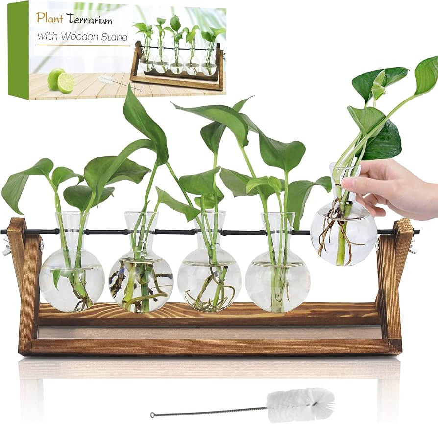 Renmxj Plant Propagation Station, Propagation Vases for Plants, Unique Cool Gardening Birthday Sm... | Amazon (US)