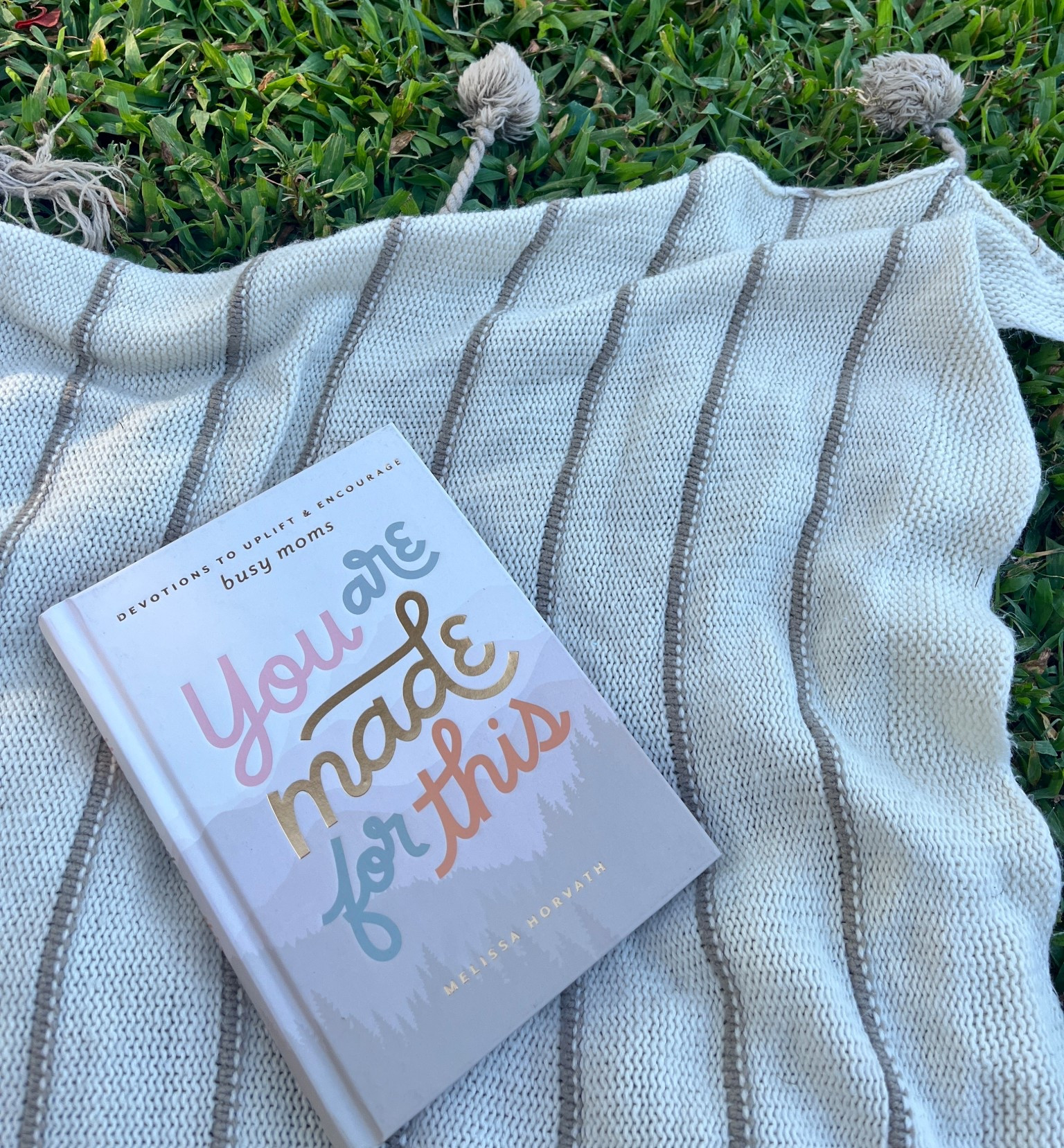 Family devotional books! 

Kids devotional books motherhood devotional books 