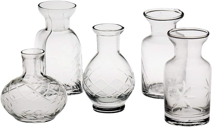 ART & ARTIFACT Petite Glass Bud Vase Set of 5 - Fun Shapes, 2 3/4"-3 3/4" H - Clear | Amazon (US)