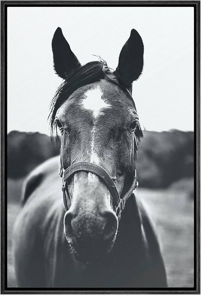 SIGNWIN Framed Canvas Wall Art High Contrast Horse Animals Black and White Duotone Expressive Gre... | Amazon (US)