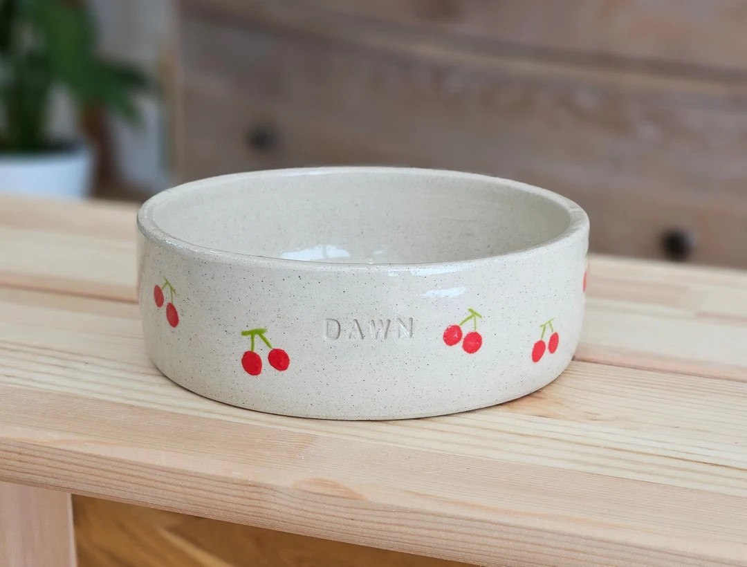 Custom Handmade Personalized Pottery Pet Bowl for Your Beloved Companion Dog Bowl Cat Bowl Hand P... | Etsy (US)