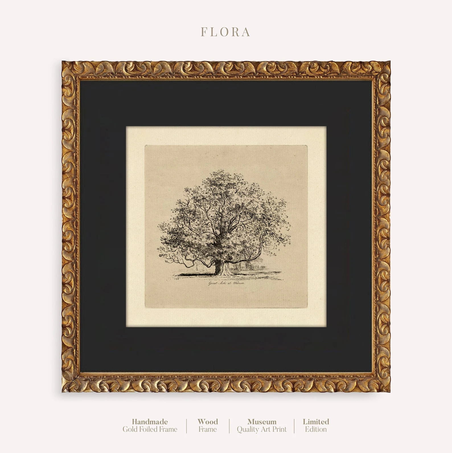 Vintage Art Framed With Black Matted, Tree Sketch Wall Art Print, Forest Drawing, Square Gold Fra... | Etsy (US)