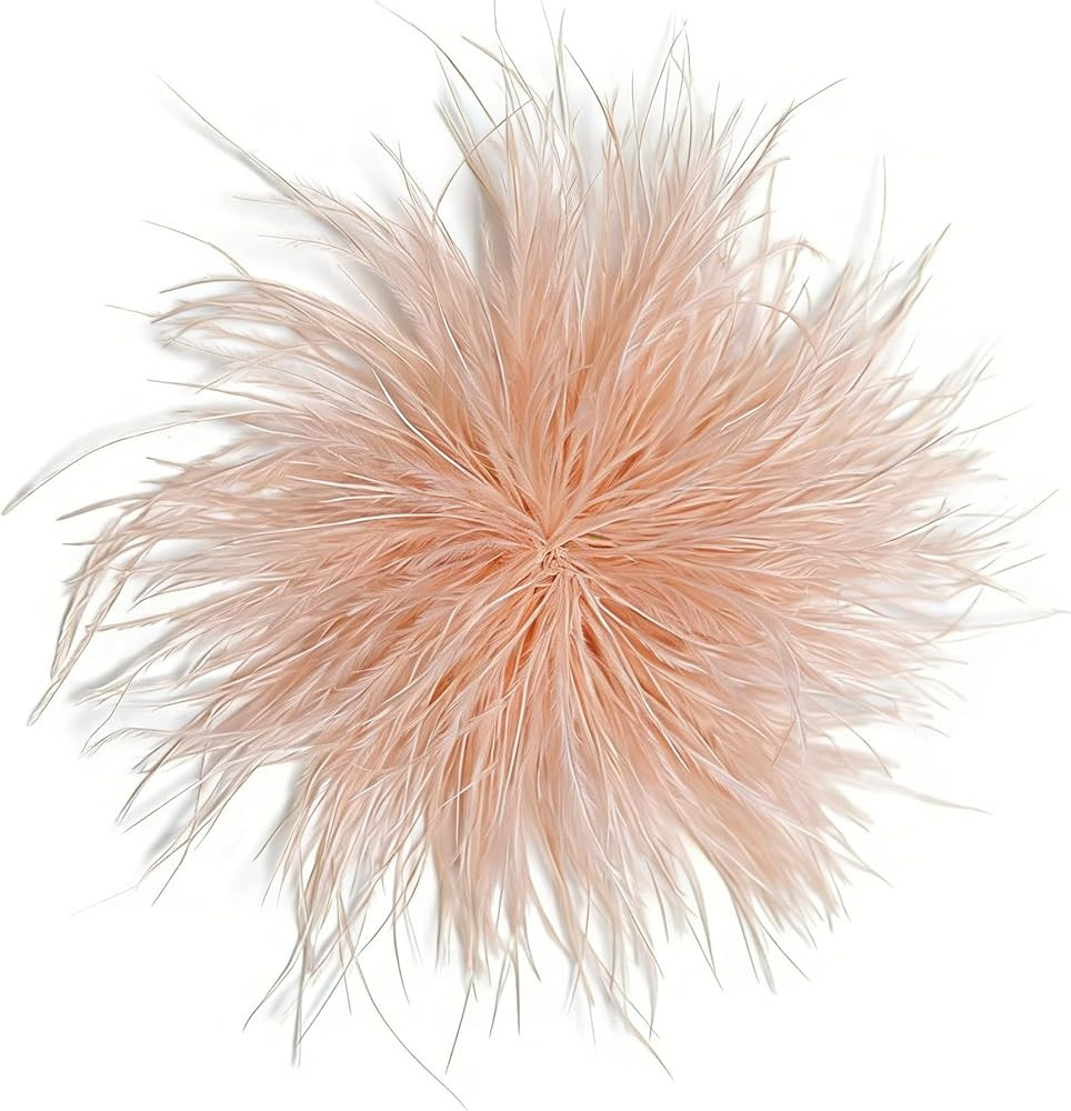 Dainty Feather Flower Large Brooch Pin for Women Elegant Floral Lapel Pins Shawl Dress Suit Cloth... | Amazon (US)