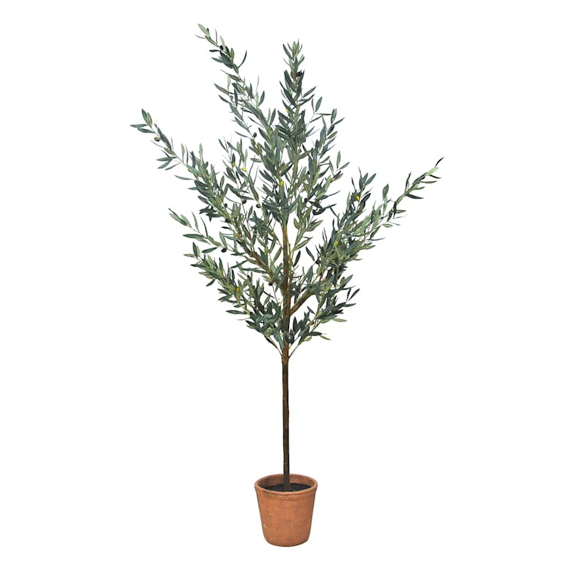 Olive Tree in Melamine Vessel, 72" | At Home