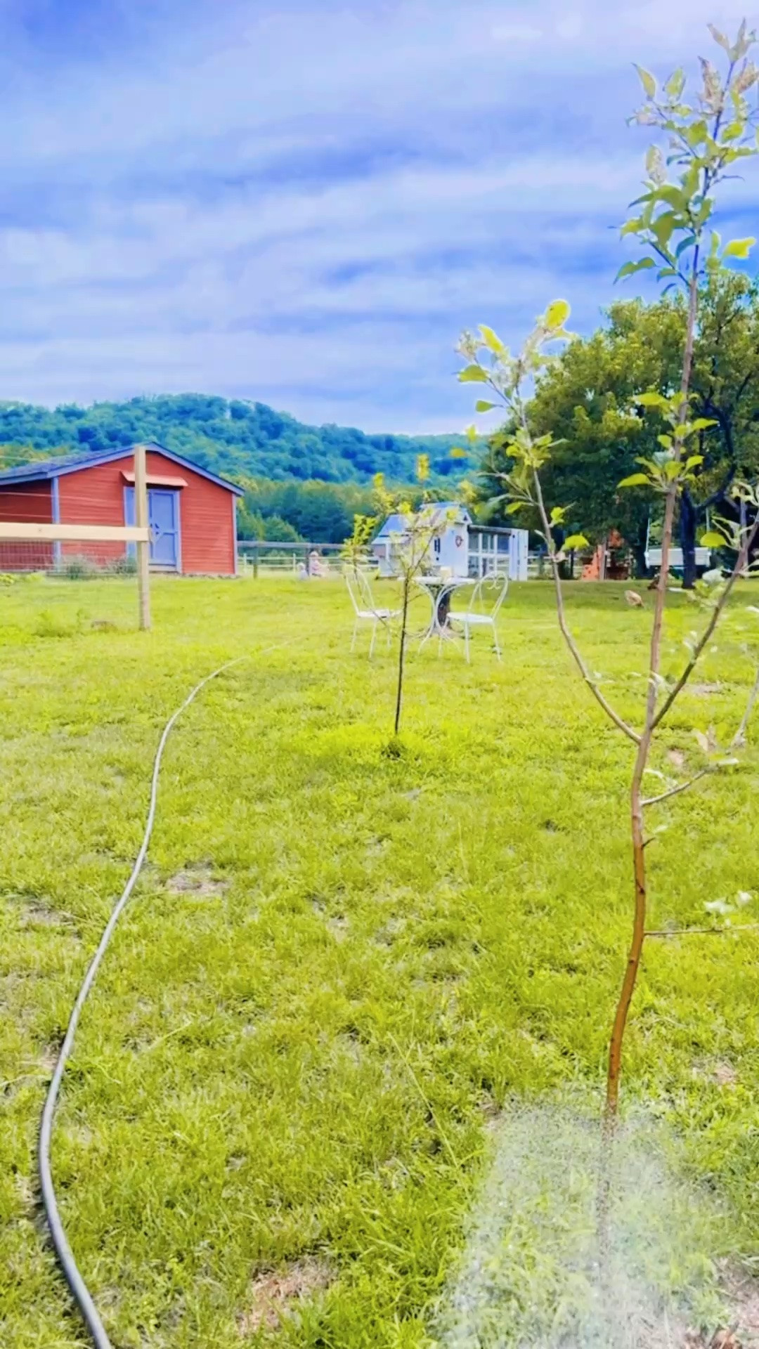 Our very favorite 🤩 way to spend a sweet country Friday out here on the farm!! 🦋🌾🧺 It has been so special and wonderful watching the farm backyard of my dreams 💭 come to life… and we want to spend all of our time out here!! 🌞💞