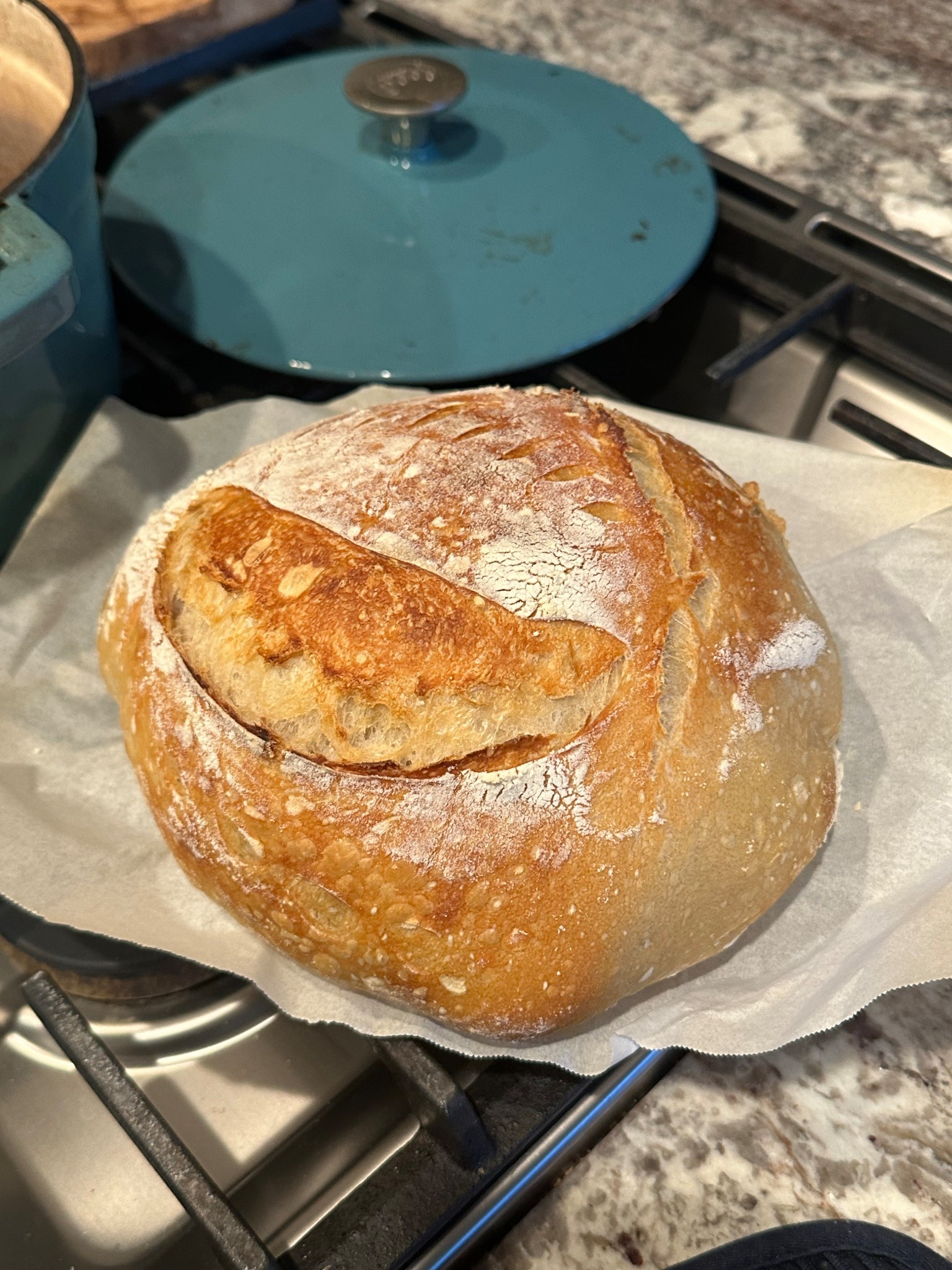 Sourdough essentials 